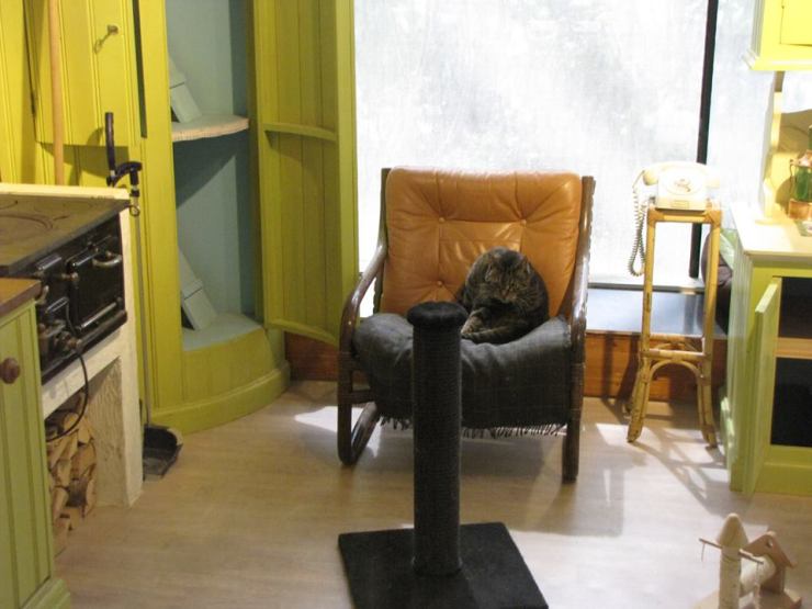 34904602_10155364363027595_2454163751956381696_n