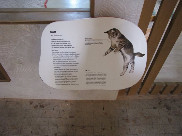 34962403_10155364363432595_14332645169168384_n