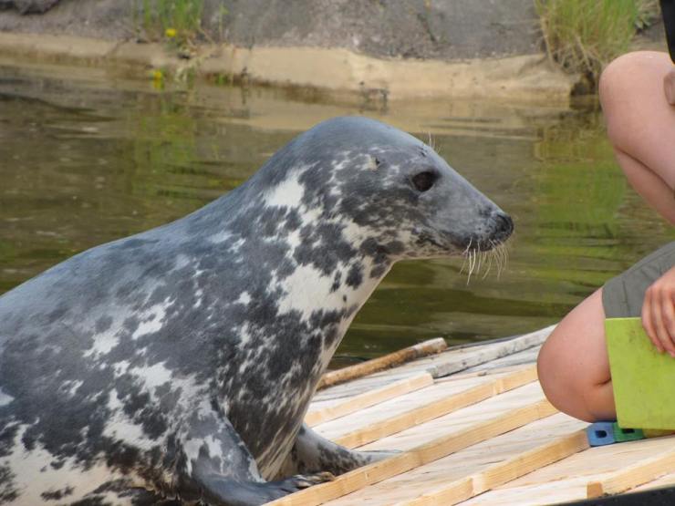 35226009_10155364367862595_4580327581730996224_n